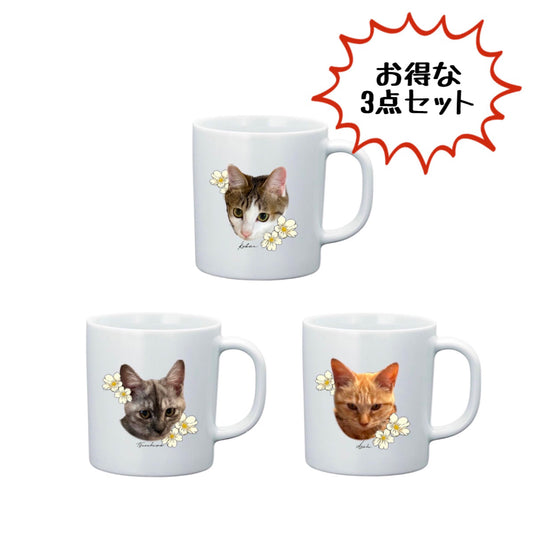 小判つる姫あさひマグカップ3点セット