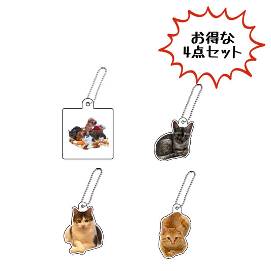 アクキーFamily SET