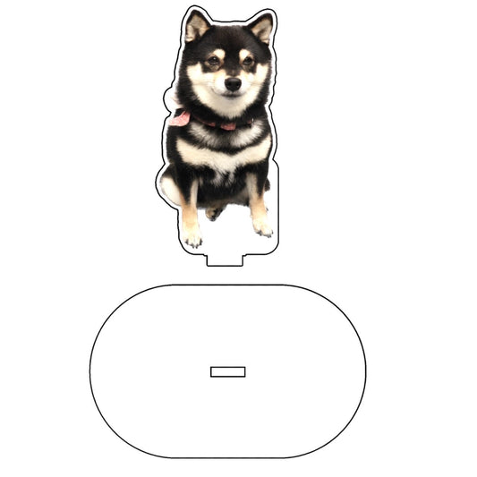 柴犬ナルトアクスタB